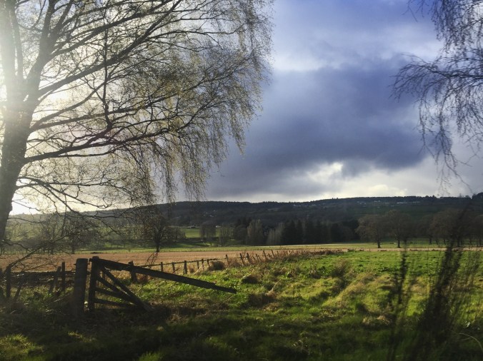 Drive north after L Ness